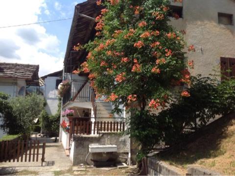 Ferienwohnung Peter Ranch 3 Vico Canavese Exterior foto